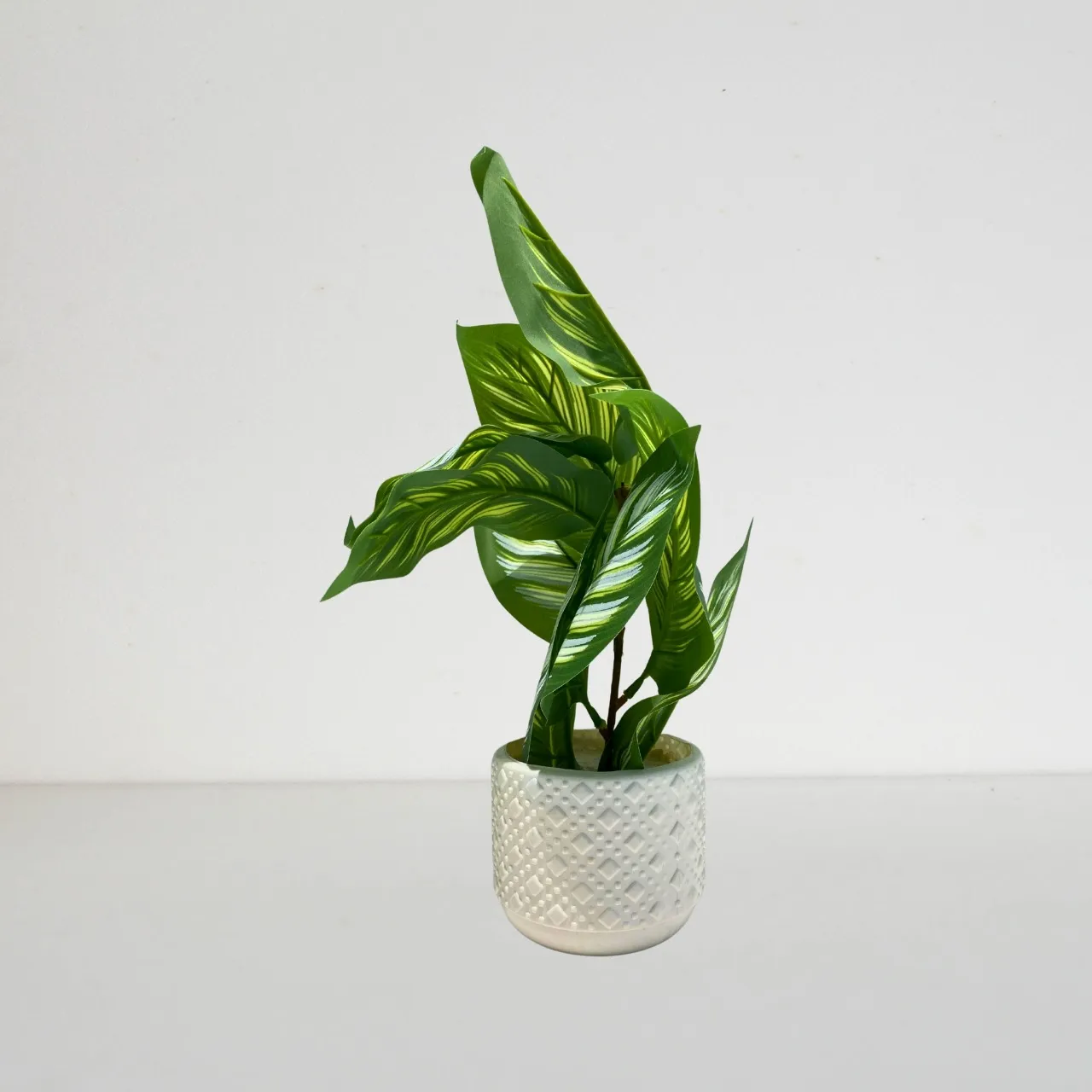Artificial Striped Leaf Potted Plant