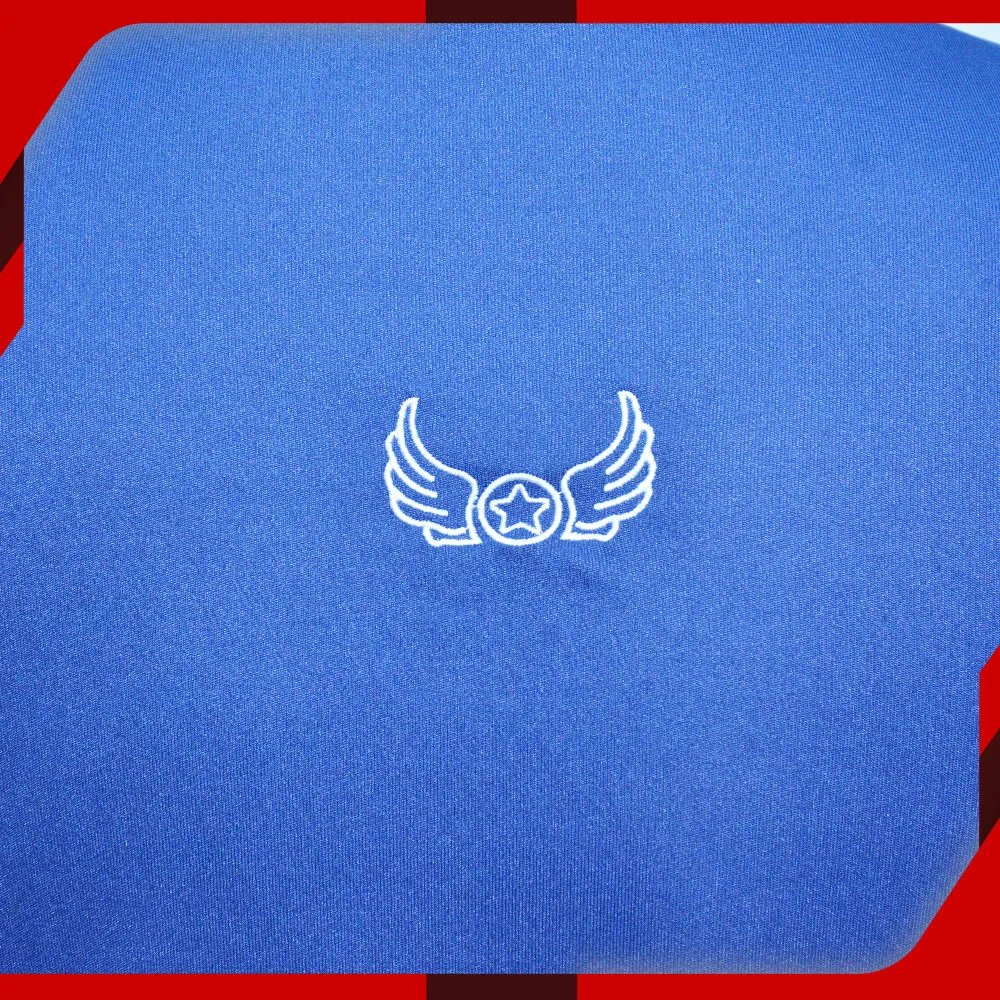 Royal Blue Sports Tracksuits for Men