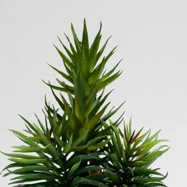 Artificial Green Succulent Plant