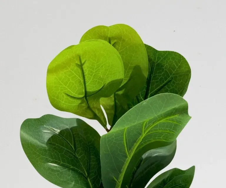 Artificial Mini Fiddle Leaf Plant